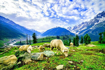 Kashmir Tour Package